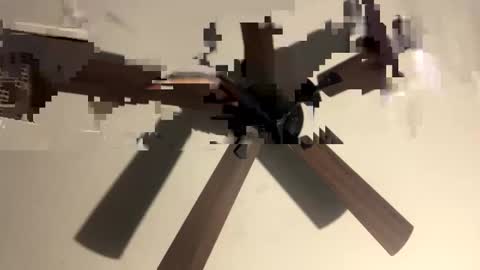 lalo112233vaz online show from October 10, 10:21 am