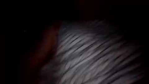 Snapshot of lamacua69 chatting on September 29, 10:20 pm Lamacua69 online show from September 29, 10:20 pm