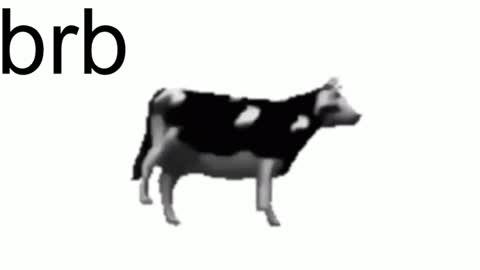 just call me Lana  and her security online show from February 7, 2:15 pm