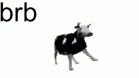 just call me Lana  and her security online show from February 7, 11:12 am