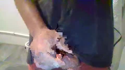 lanzosfracelli online show from January 12, 1:29 pm