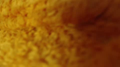 laralhotr online show from December 27, 1:11 am