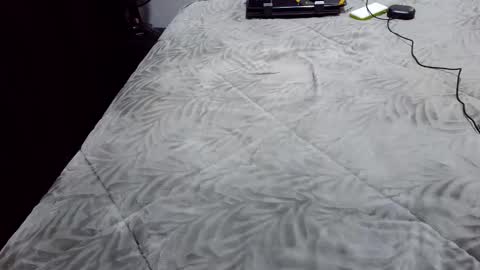 kelly online show from December 16, 1:24 am