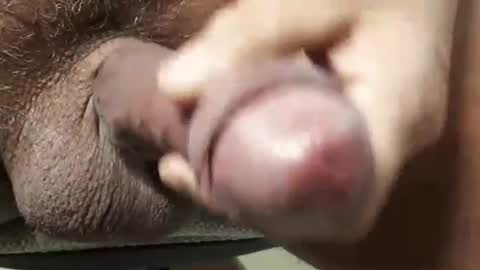 legofactory online show from November 27, 5:37 am