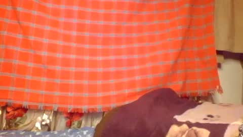 Letecia557422 online show from February 15, 7:27 am