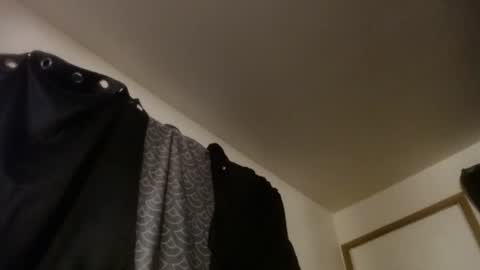 letsplay361 online show from December 14, 2:29 am