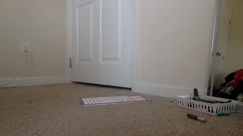 Alexia L. online show from January 7, 6:24 pm