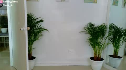 Tell me Liam online show from November 19, 5:23 pm