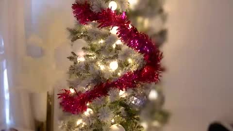 Rebecca online show from January 7, 8:58 pm