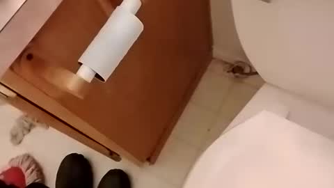 Lilcockinhand online show from February 9, 12:08 pm