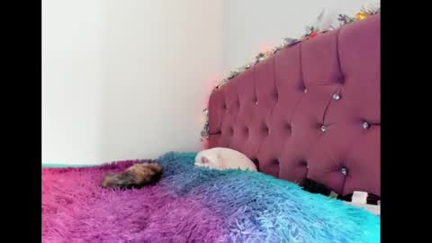 Lilith online show from February 8, 8:32 pm