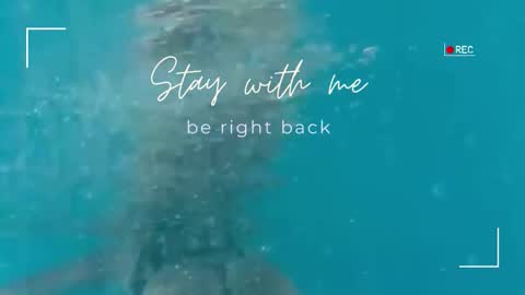 Lily online show from October 26, 5:52 am