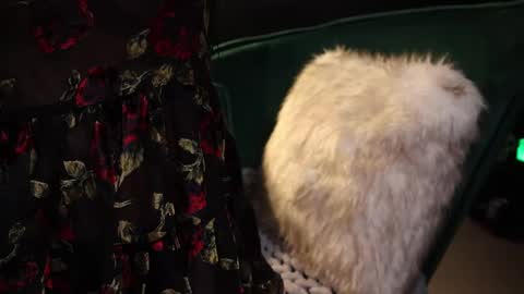 Lire online show from February 20, 4:18 am