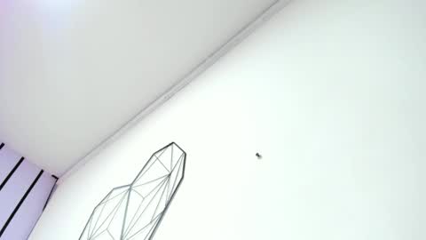 lisa white  online show from November 19, 12:37 pm