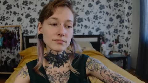 Niki  free tg channel with some photos gifs and info about streams  online show from October 22, 9:45 am