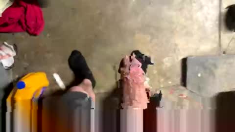 Little Tj online show from April 3, 3:35 am