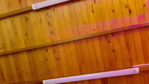  LIZBETH ROSS  online show from January 12, 10:22 am