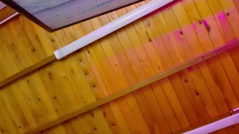  LIZBETH ROSS  online show from January 9, 10:21 am