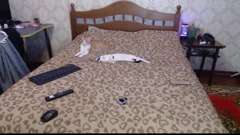 Sevy online show from December 30, 12:11 am