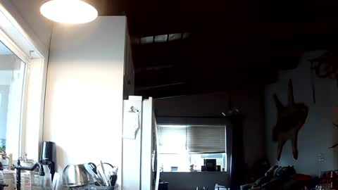 Lola Lixx online show from July 14, 1:31 am