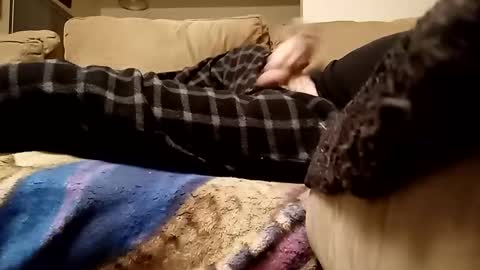 looking4bush online show from January 15, 6:11 am