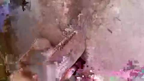 lord47maliby online show from March 30, 3:50 am