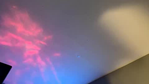 HoneydickNick online show from January 23, 12:19 pm