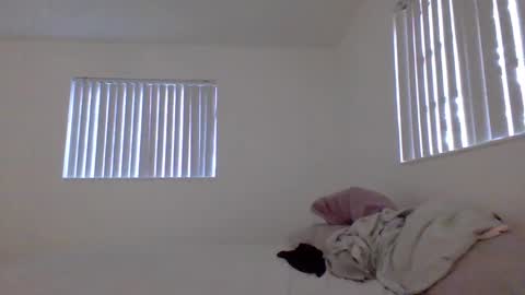 lovelylovelybrooke online show from February 17, 10:38 pm