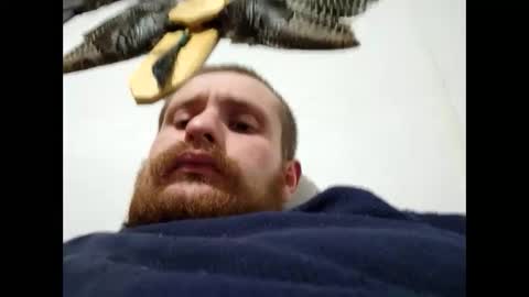 Lovepussy1998xb online show from February 19, 12:14 am