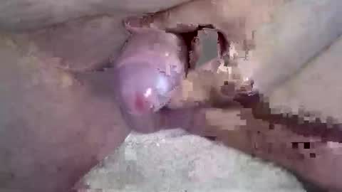 lover_troll online show from March 29, 10:50 am