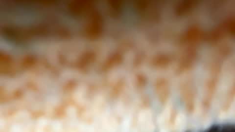 lovewhenwatched online show from March 17, 7:57 am