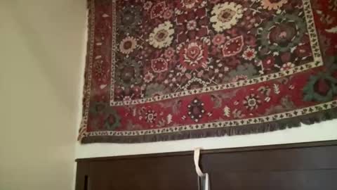 luckylaci777 online show from September 23, 8:04 pm