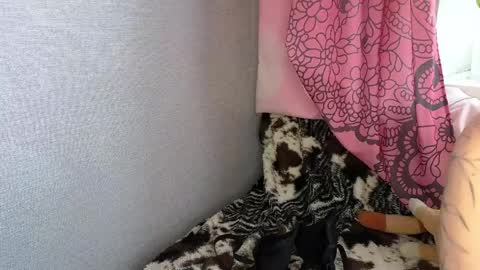 Lucy online show from April 11, 5:23 am