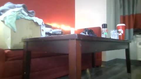 Lucy Loves Lookers online show from January 15, 12:04 pm