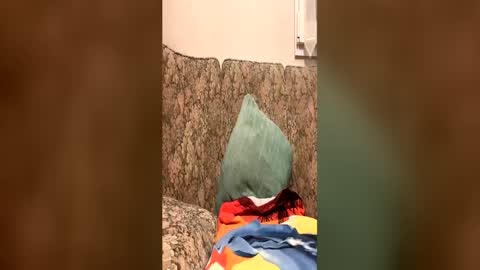 Luis online show from July 4, 9:51 pm