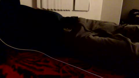 AlmightyZero online show from February 24, 5:32 am