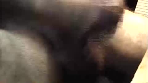 lukestarfckr online show from April 3, 4:08 am