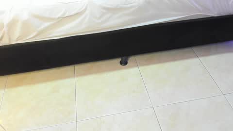 lulu online show from February 10, 7:17 pm