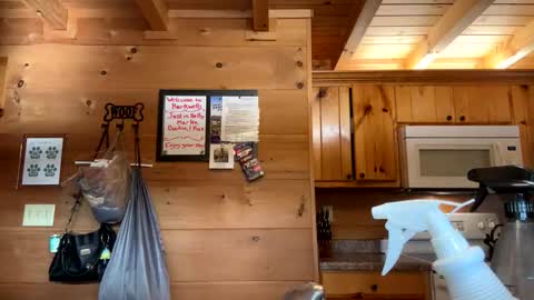 Connie online show from December 21, 2:45 pm