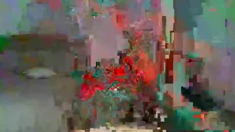 Liv 3 online show from December 20, 12:17 am