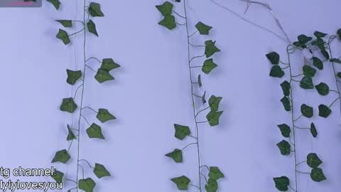 Lyly   online show from December 1, 5:38 am