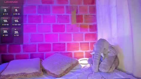   online show from February 13, 7:10 pm