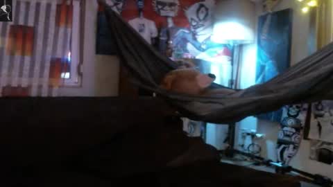 Manuel online show from November 29, 1:24 am