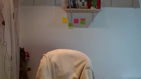 Madison Cambel online show from February 12, 3:40 am