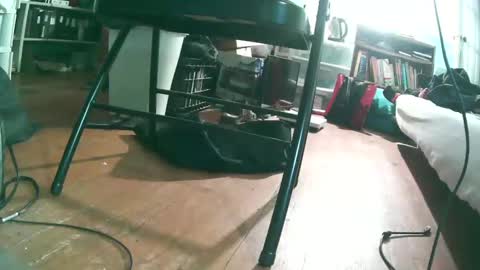 maleslutforwomen online show from September 11, 2:35 am