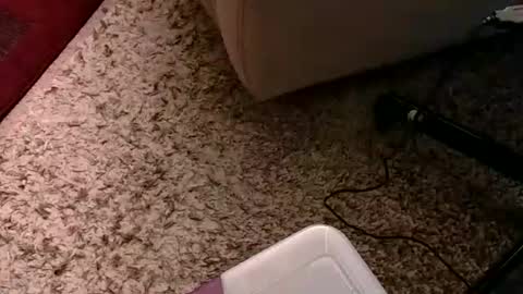 Mandy online show from September 20, 1:58 pm