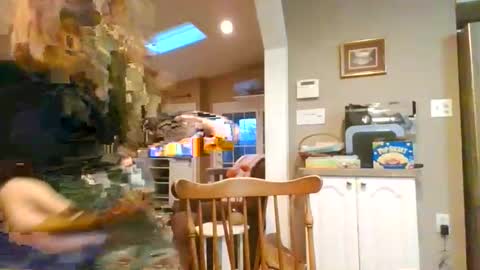 margoross444 online show from November 26, 9:11 pm