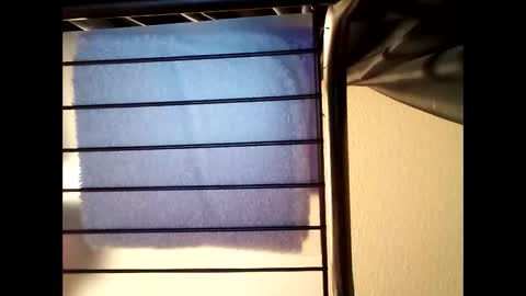 marinevet078 online show from April 24, 9:00 am