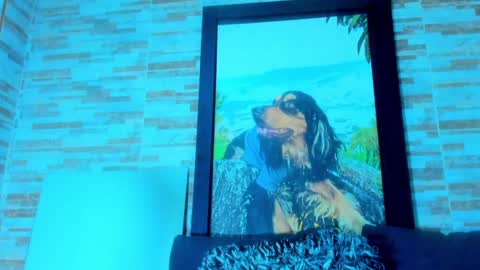 Snapshot of marko_toro__ chatting on February 1, 12:04 pm Sebastian online show from February 1, 12:04 pm