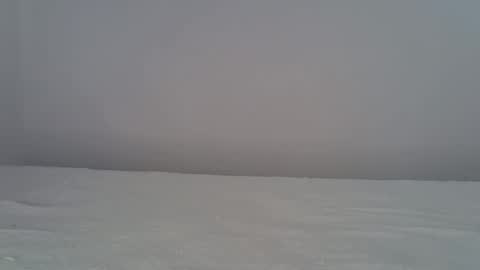  Martina  online show from December 3, 6:41 pm